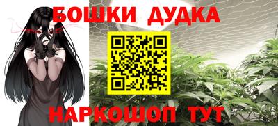 индика Нальчик