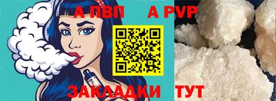 индика Нальчик
