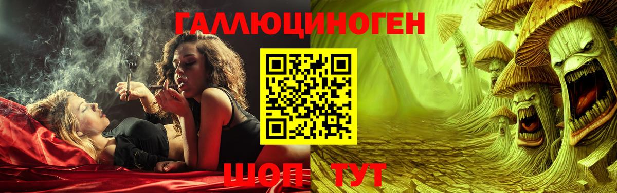 Урус-Мартан  Псилоцибиновые грибы прущие грибы  Вход с VPN 